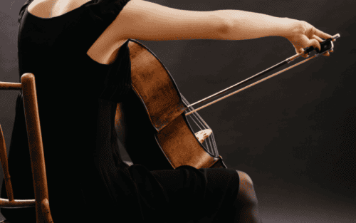 Carbonbogen Cello Test: Die 11 besten (Bestenliste)