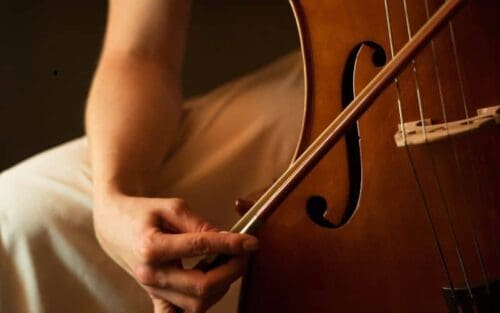 Cellobogen Test: Die 11 besten (Bestenliste)
