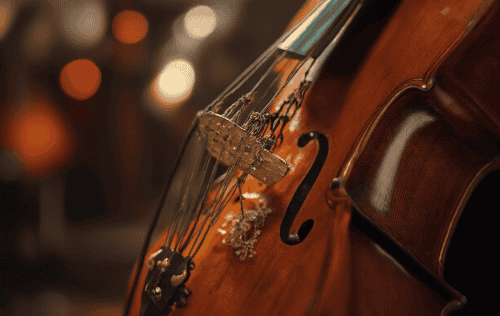 Cello Dämpfer Test: Die 5 besten (Bestenliste)